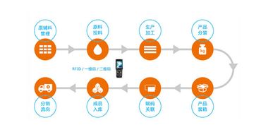 構建智慧防線 水產品質量追溯系統與信息安全軟件開發雙管齊下，保障您的食用安全